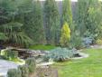 ARTE VIVO - Jardín 4
