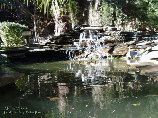 ARTE VIVO - Jardín 8