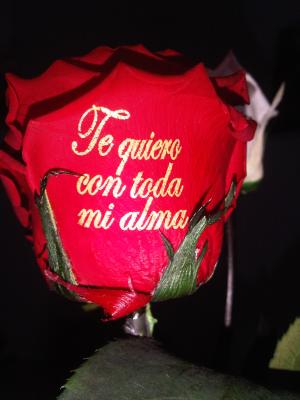 envio de un mensaje