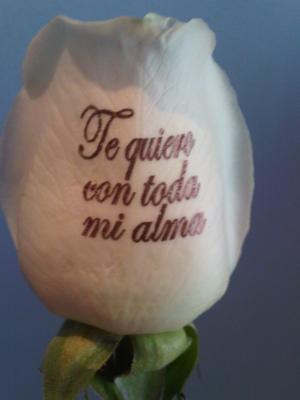 personalizar un sentimento