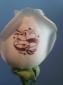 detalles de bodas