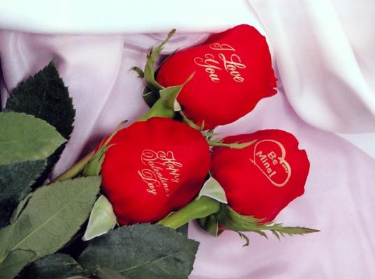 dia de los enamorados