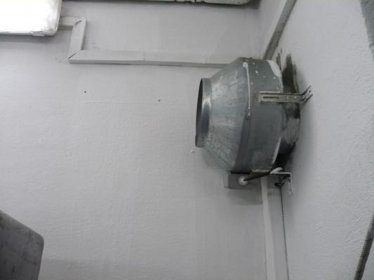 Extracción  de Camara  de Maduración Platanos.