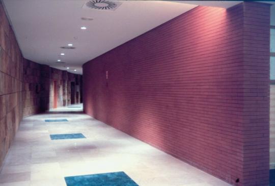 HOSPITAL (Madrid)