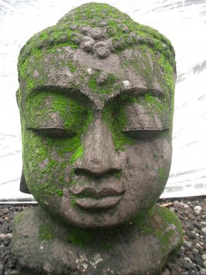 CABEZA DE BUDA