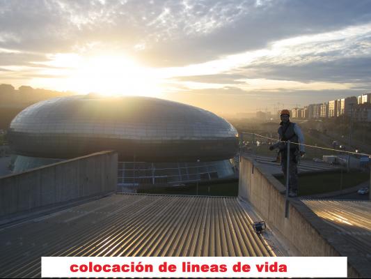 lineas de vida