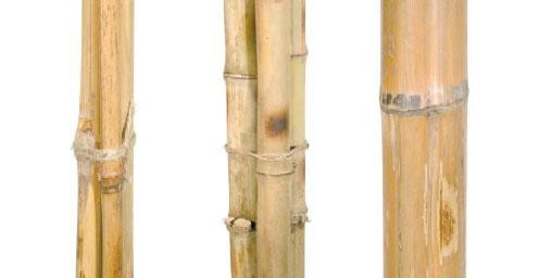 Cañas de Bambú - ArticoEnCasa.com