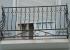 BALCON CONI.
