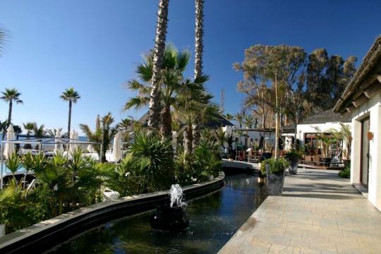 laguna