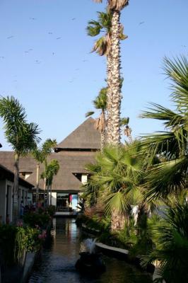 laguna village 2