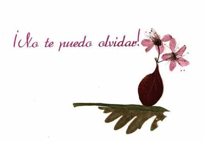 Tarjetas flores secas prensadas