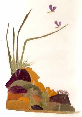 collage flores secas prensadas