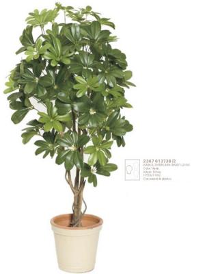 chefleras artificiales de calidad. ARBOL ARTIFICIAL SCHEFFLERA BABY oasisdecor.com