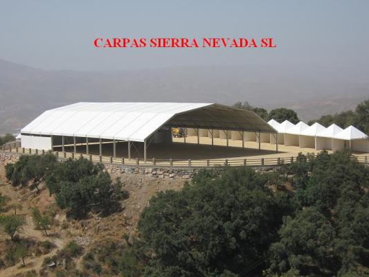 CARPA POLIGONAL