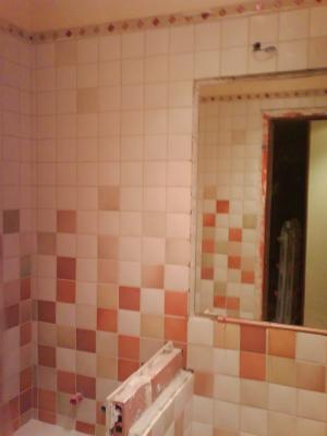 AngloVasko-2 Baño