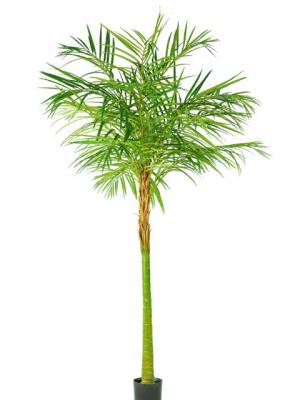 Novedades 2011 - Areca Oriental en ArticoEnCasa.com