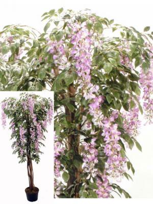 Novedades 2011 - Árbol Wisteria en ÁrticoEnCasa.com