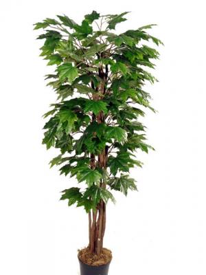 Novedades 2011 - Arbol Mango en ArticoEnCasa.com