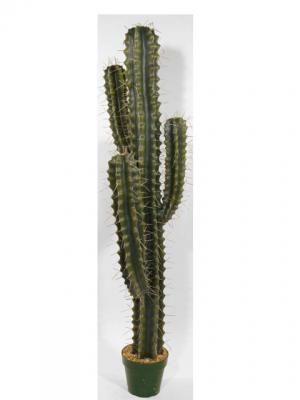 Novedades 2011 - Cactus del oeste en ArticoEnCasa.com