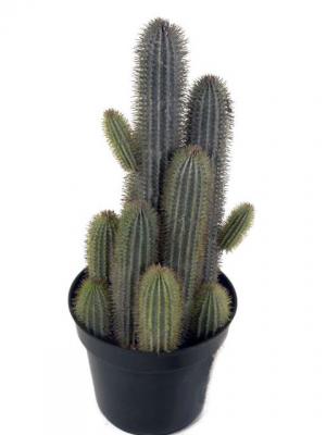Novedades 2011 - Cactus Finger en ArticoEnCasa.com