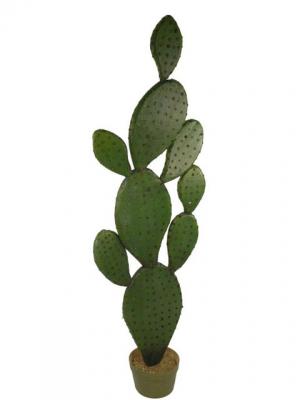 Novedades 2011 - Cactus Opuntia en ArticoEnCasa.com