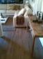 Parquet laminado