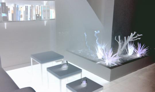 Estudio Hall