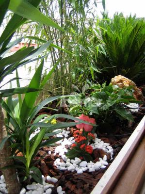 Jardín