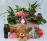 Canasta de plantas con cava, peluche, bombones y tarjeta