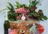 Canasta de plantas con cava, peluche, bombones y tarjeta