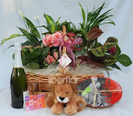Canasta de plantas con cava, peluche, bombones y tarjeta