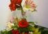 amarilis