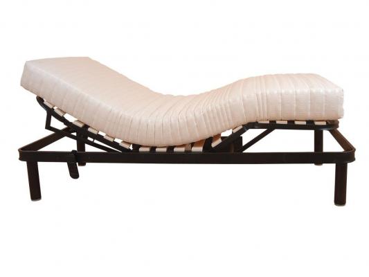 CAMA MOTOR