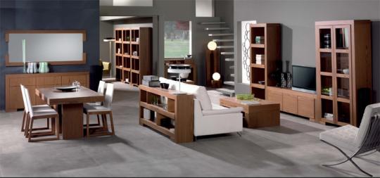 salon modular