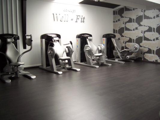 sala de fitness well fit