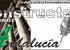 Construcciones y reformas
