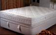 viscolastica