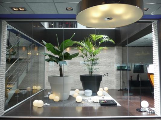 ALICIA DE LA GÜIDA INTERIORISMO CON FENG SHUI