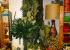 Floristeria