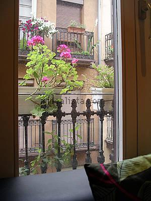 largo6
