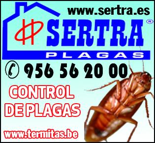 control de plagas