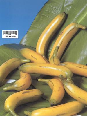 Platanos artificiales de calidad. PLATANO ARTIFICIAL AMARILLO oasisdecor.com