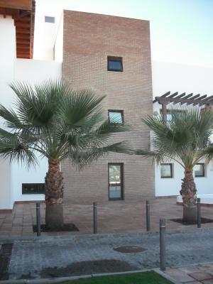 Ladrillos viejos