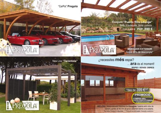 Flyer 2011