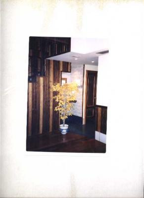 DUPLEX3