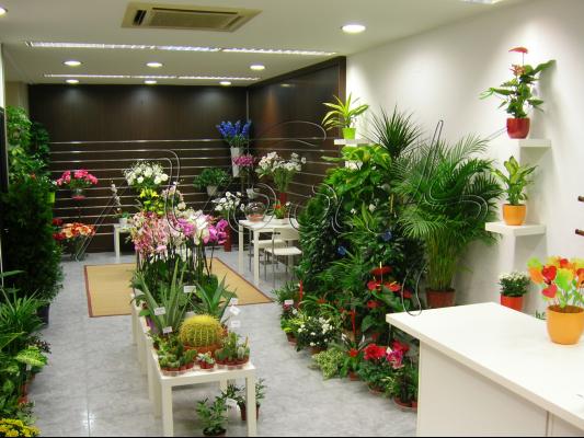 Nuestra tienda
