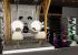 PELUQUERIA STAND