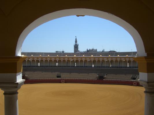 ALUMBRADO PLAZA DE TOROS