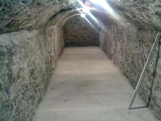 BODEGA 1