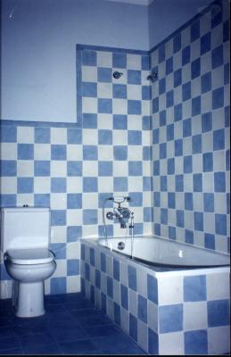 Baño damero 